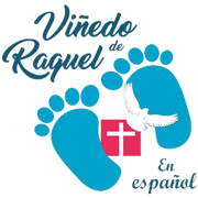 Viñedo de Raquel